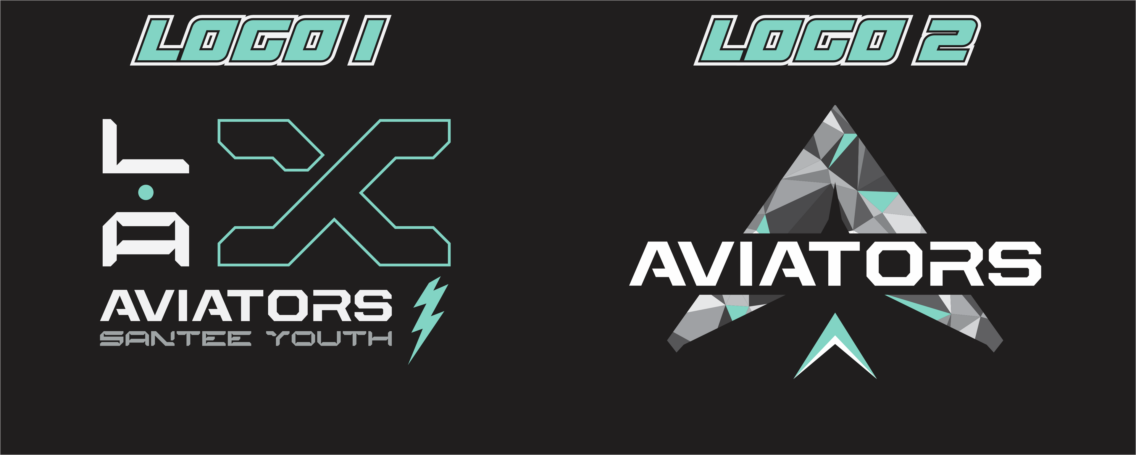 INDEPENDENT AVIATORS HEAVYWEIGHT HOODIE