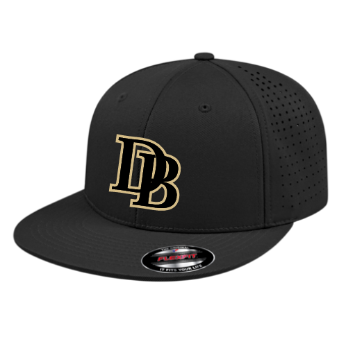 9U-14U DYNASTY HAT
